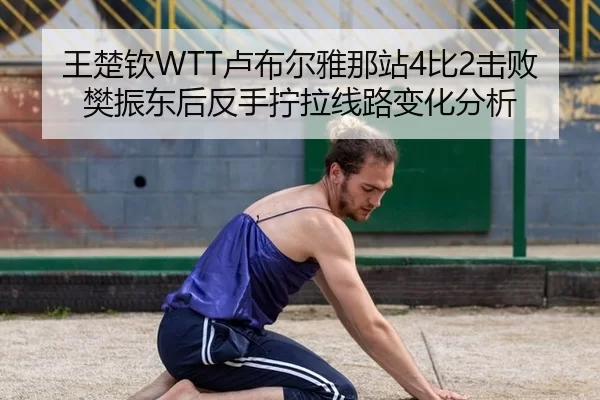 王楚钦WTT卢布尔雅那站4比2击败樊振东后反手拧拉线路变化分析